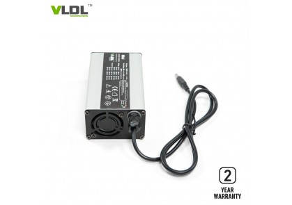 48V Lawn Mower Battery Charger