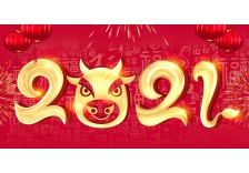 Holiday Notice of 2021 Chinese Spring Festival